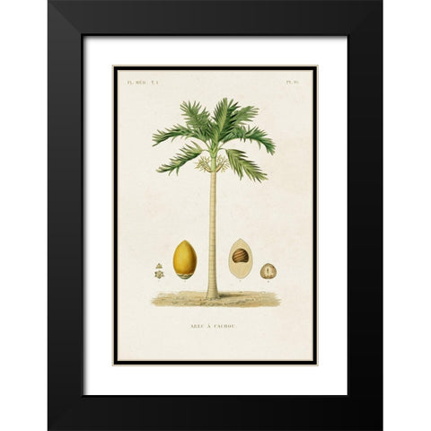 Antique Tree with Fruit II Black Modern Wood Framed Art Print with Double Matting by Unknown
