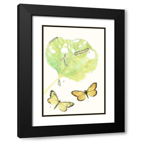 Antique Butterflies and Leaves II Black Modern Wood Framed Art Print with Double Matting by Vision Studio