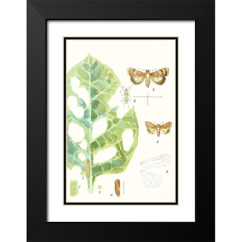 Antique Butterflies and Leaves IV Black Modern Wood Framed Art Print with Double Matting by Vision Studio