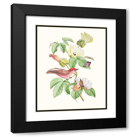 Cuvier Bird And Habitat III Black Modern Wood Framed Art Print with Double Matting by Cuvier, Georges