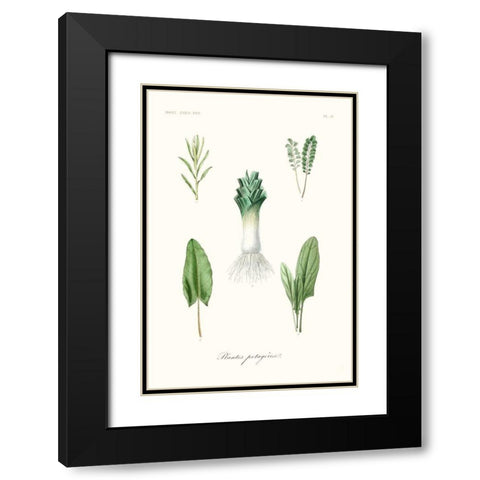 Fruit And Vegetable Varieties I Black Modern Wood Framed Art Print with Double Matting by Unknown