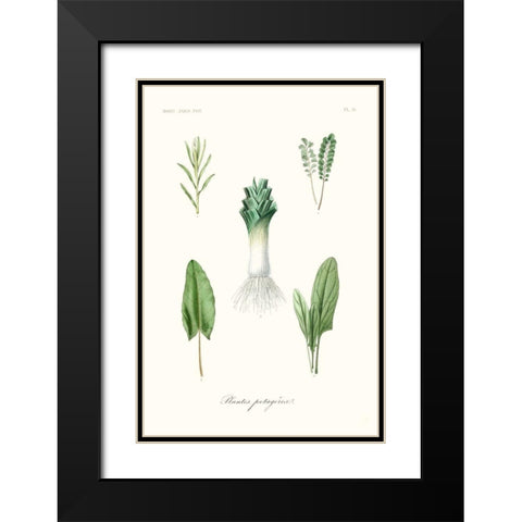 Fruit And Vegetable Varieties I Black Modern Wood Framed Art Print with Double Matting by Unknown