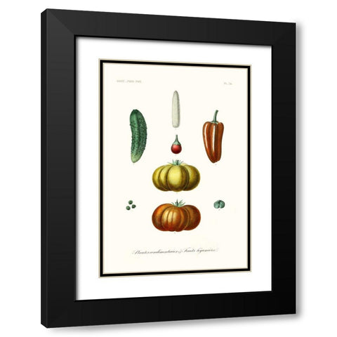 Fruit And Vegetable Varieties III Black Modern Wood Framed Art Print with Double Matting by Unknown