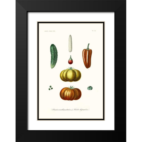 Fruit And Vegetable Varieties III Black Modern Wood Framed Art Print with Double Matting by Unknown