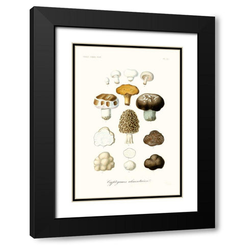 Fruit And Vegetable Varieties IV Black Modern Wood Framed Art Print with Double Matting by Unknown