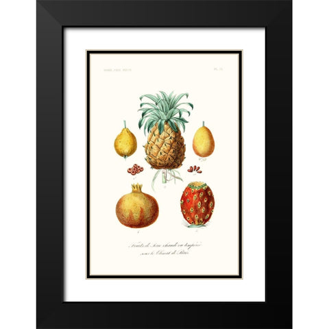 Fruit And Vegetable Varieties V Black Modern Wood Framed Art Print with Double Matting by Unknown