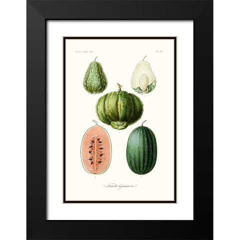 Fruit And Vegetable Varieties VIII Black Modern Wood Framed Art Print with Double Matting by Unknown