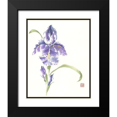 Reigning Prince Black Modern Wood Framed Art Print with Double Matting by Rae, Nan