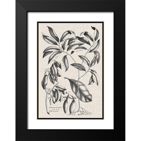 Custom Black And Oatmeal Linen Botanical I Black Modern Wood Framed Art Print with Double Matting by Vision Studio