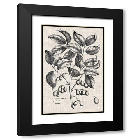 Custom Black And Oatmeal Linen Botanical II Black Modern Wood Framed Art Print with Double Matting by Vision Studio