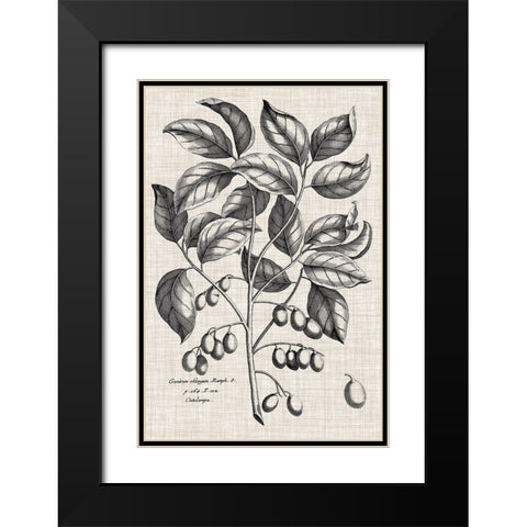 Custom Black And Oatmeal Linen Botanical II Black Modern Wood Framed Art Print with Double Matting by Vision Studio