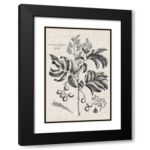 Custom Black And Oatmeal Linen Botanical IV Black Modern Wood Framed Art Print with Double Matting by Vision Studio