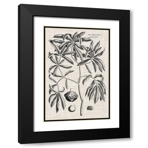 Custom Black And Oatmeal Linen Botanical V Black Modern Wood Framed Art Print with Double Matting by Vision Studio