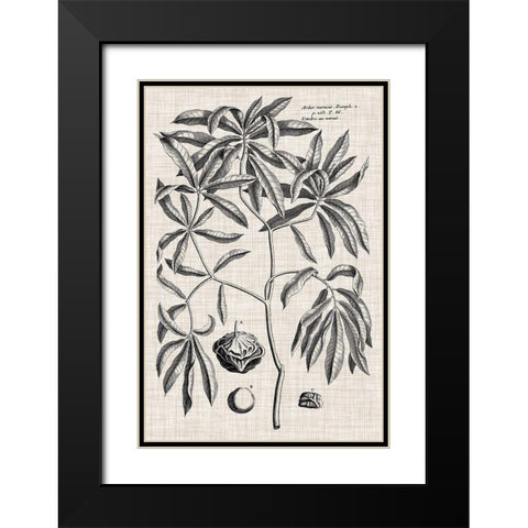 Custom Black And Oatmeal Linen Botanical V Black Modern Wood Framed Art Print with Double Matting by Vision Studio