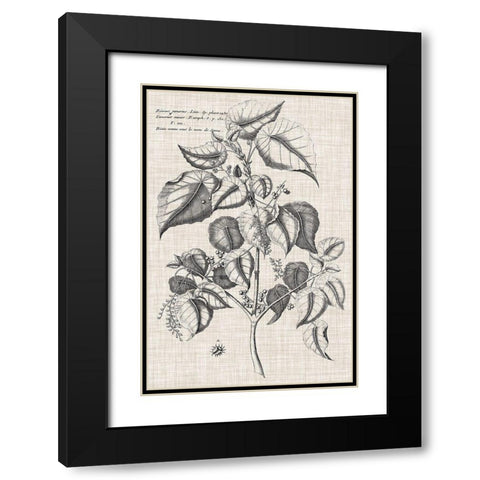 Custom Black And Oatmeal Linen Botanical VI Black Modern Wood Framed Art Print with Double Matting by Vision Studio