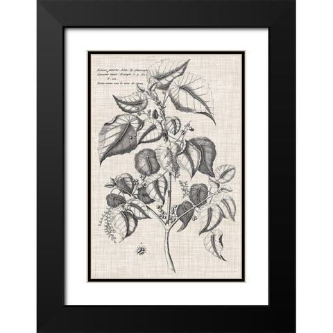 Custom Black And Oatmeal Linen Botanical VI Black Modern Wood Framed Art Print with Double Matting by Vision Studio