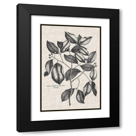 Custom Black And Oatmeal Linen Botanical VII Black Modern Wood Framed Art Print with Double Matting by Vision Studio