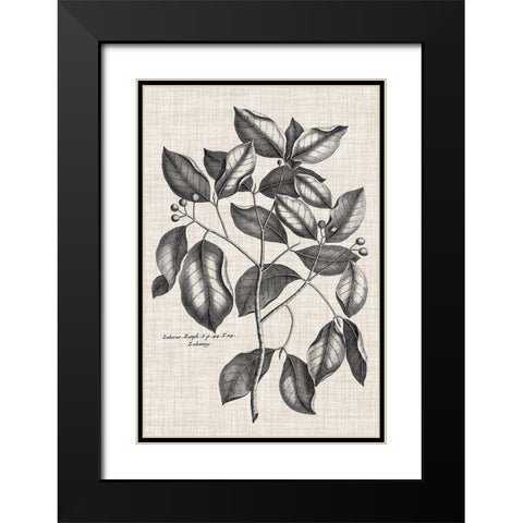 Custom Black And Oatmeal Linen Botanical VII Black Modern Wood Framed Art Print with Double Matting by Vision Studio