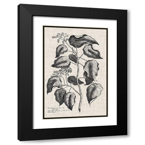 Custom Black And Oatmeal Linen Botanical VIII Black Modern Wood Framed Art Print with Double Matting by Vision Studio