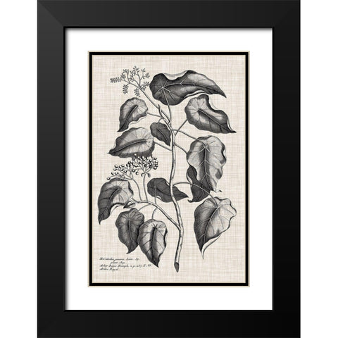 Custom Black And Oatmeal Linen Botanical VIII Black Modern Wood Framed Art Print with Double Matting by Vision Studio