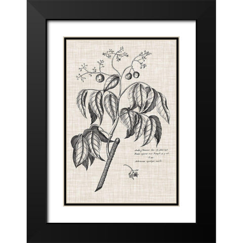 Custom Black And Oatmeal Linen Botanical IX Black Modern Wood Framed Art Print with Double Matting by Vision Studio