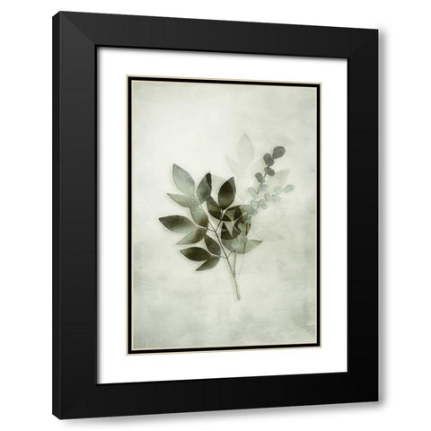 Tropical Night in Green I Black Modern Wood Framed Art Print with Double Matting by Haase, Andrea