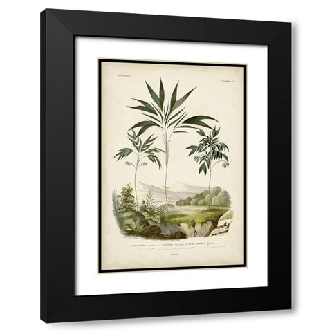 Antique Palm Collection III Black Modern Wood Framed Art Print with Double Matting by DOrbigny, M. Charles