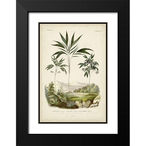 Antique Palm Collection III Black Modern Wood Framed Art Print with Double Matting by DOrbigny, M. Charles