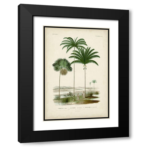 Antique Palm Collection IV Black Modern Wood Framed Art Print with Double Matting by DOrbigny, M. Charles