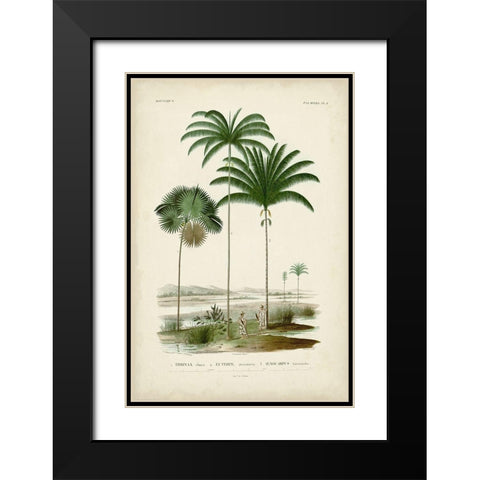 Antique Palm Collection IV Black Modern Wood Framed Art Print with Double Matting by DOrbigny, M. Charles