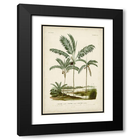 Antique Palm Collection VII Black Modern Wood Framed Art Print with Double Matting by DOrbigny, M. Charles