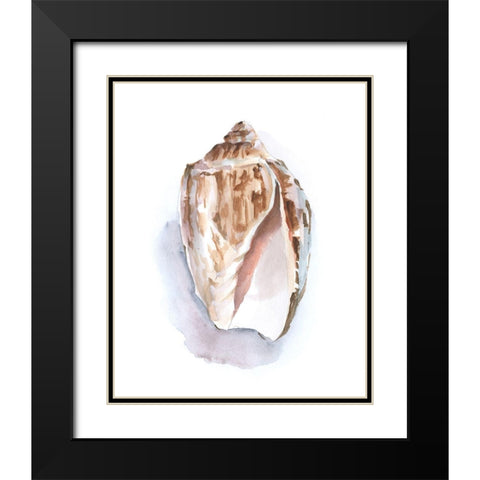 Pastel Shell Collection II Black Modern Wood Framed Art Print with Double Matting by Harper, Ethan