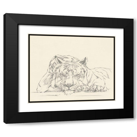 Cat Nap II Black Modern Wood Framed Art Print with Double Matting by Harper, Ethan