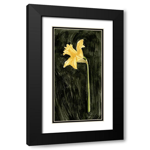 Dark Daffodils I Black Modern Wood Framed Art Print with Double Matting by Caroline, Emma