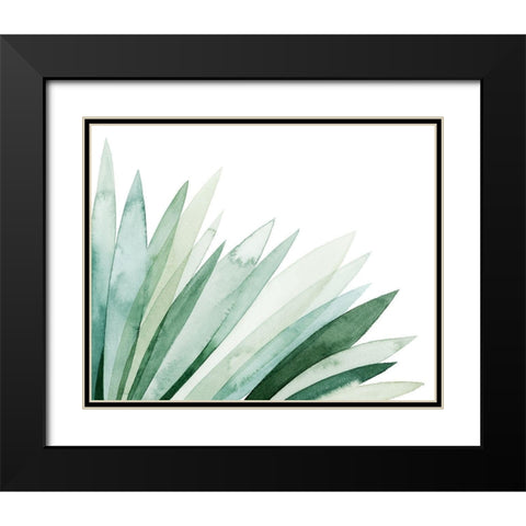 Watercolor Plume II Black Modern Wood Framed Art Print with Double Matting by Popp, Grace