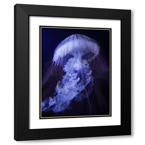 Peri Gelatinous I Black Modern Wood Framed Art Print with Double Matting by Hunziker, Steve