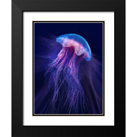 Peri Gelatinous II Black Modern Wood Framed Art Print with Double Matting by Hunziker, Steve