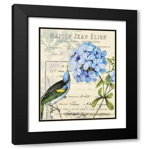 Vintage Aviary II Black Modern Wood Framed Art Print with Double Matting by Smith, Karen