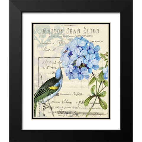 Vintage Aviary II Black Modern Wood Framed Art Print with Double Matting by Smith, Karen