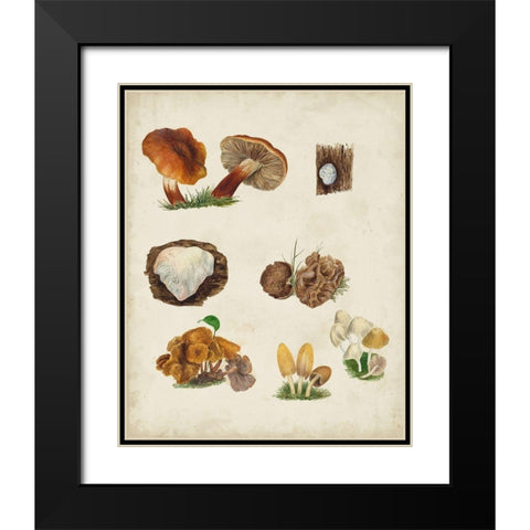 Mushroom Species I Black Modern Wood Framed Art Print with Double Matting by Vision Studio