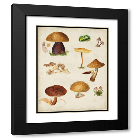 Mushroom Species II Black Modern Wood Framed Art Print with Double Matting by Vision Studio