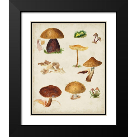 Mushroom Species II Black Modern Wood Framed Art Print with Double Matting by Vision Studio