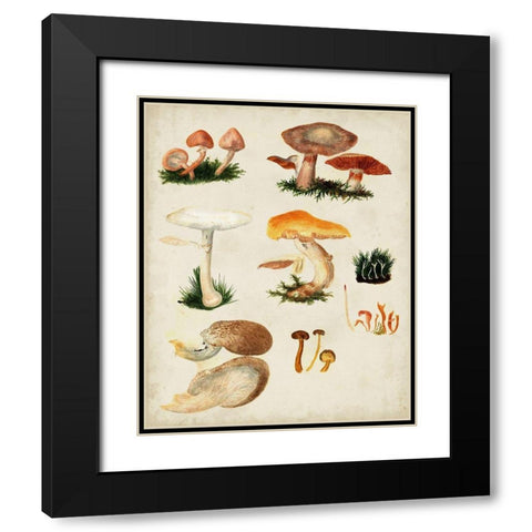 Mushroom Species IV Black Modern Wood Framed Art Print with Double Matting by Vision Studio