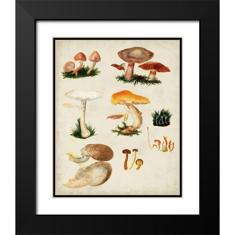 Mushroom Species IV Black Modern Wood Framed Art Print with Double Matting by Vision Studio