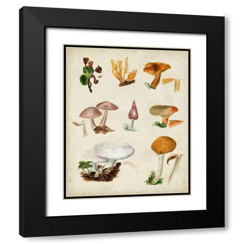 Mushroom Species VI Black Modern Wood Framed Art Print with Double Matting by Vision Studio