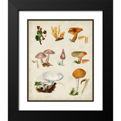 Mushroom Species VI Black Modern Wood Framed Art Print with Double Matting by Vision Studio