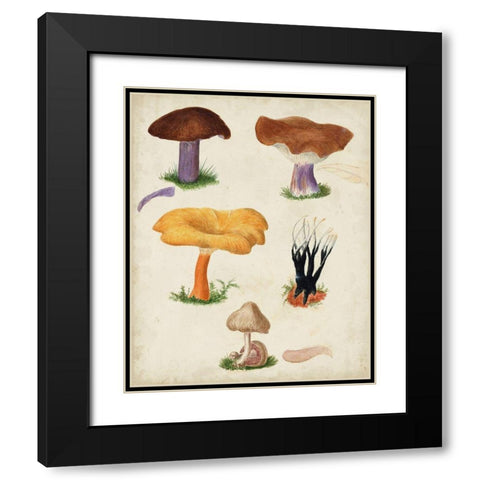 Mushroom Species VII Black Modern Wood Framed Art Print with Double Matting by Vision Studio