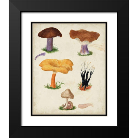 Mushroom Species VII Black Modern Wood Framed Art Print with Double Matting by Vision Studio