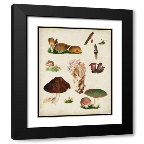 Mushroom Species IX Black Modern Wood Framed Art Print with Double Matting by Vision Studio