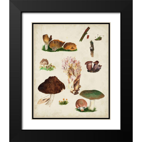 Mushroom Species IX Black Modern Wood Framed Art Print with Double Matting by Vision Studio